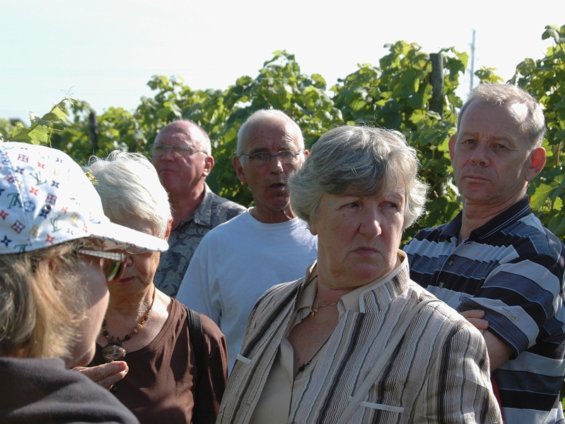 P2006092012.jpg - 20 september 2006: excursie van 't Nut naar de wijngaard van Dick Hollander in Hurwenen.
