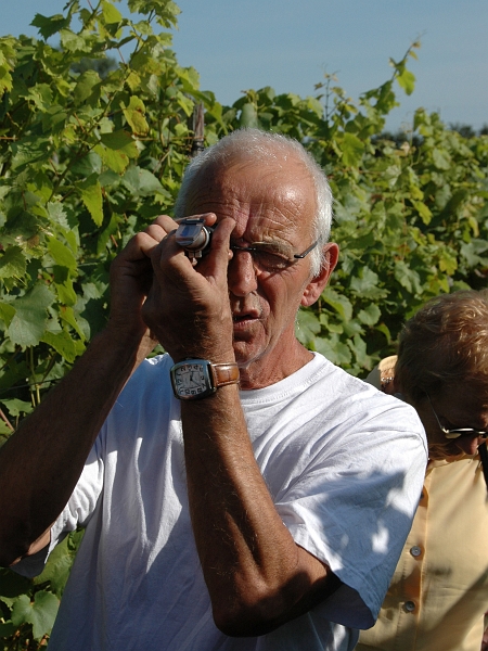 P2006092018.jpg - 20 september 2006: excursie van 't Nut naar de wijngaard van Dick Hollander in Hurwenen.